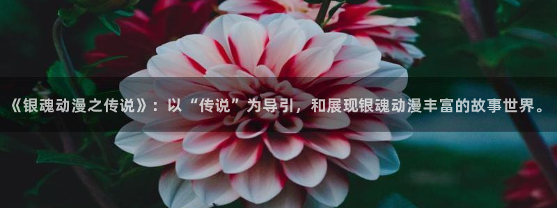羞羞动漫在线观看入口：《银魂动漫之传说》：以“传说”为导引，和展现银魂动漫丰富的故事世界。